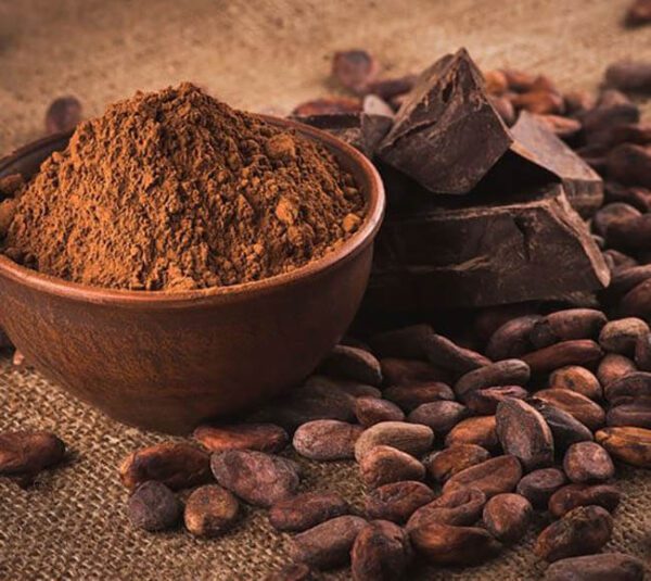 Cacao-Nederland-Materia-Prima